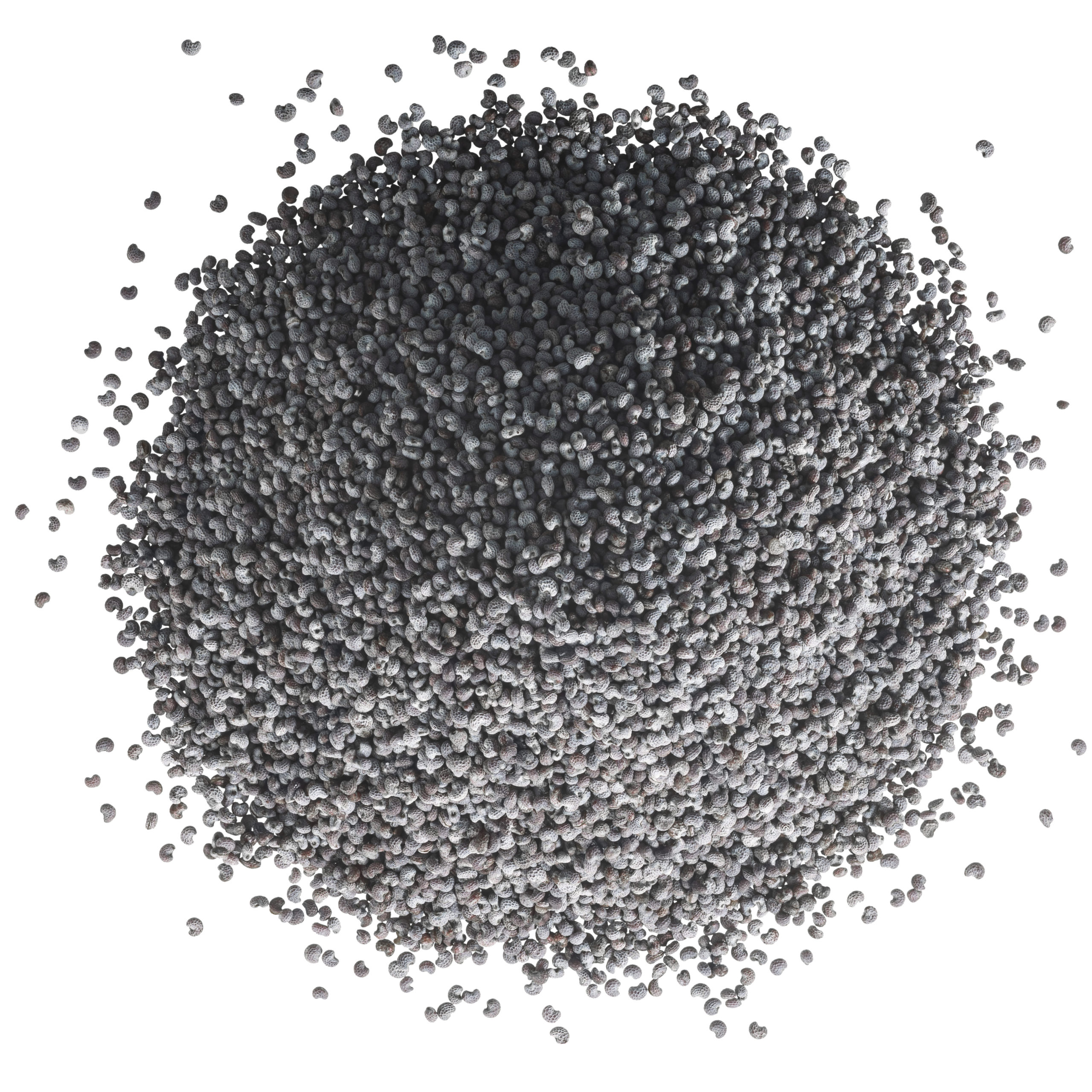 Poppy seeds pile p. somniferum, paths, top